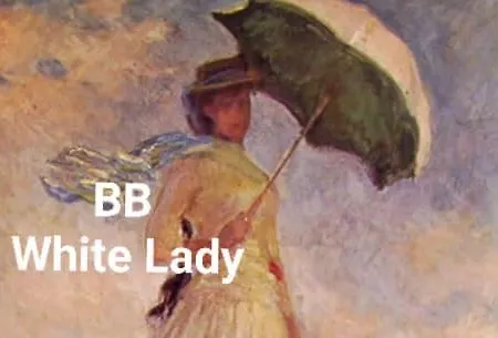 White Lady Отель типа 