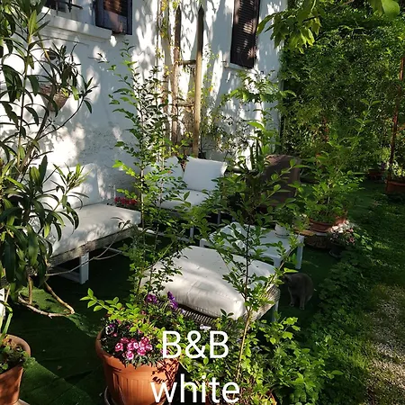 White Lady