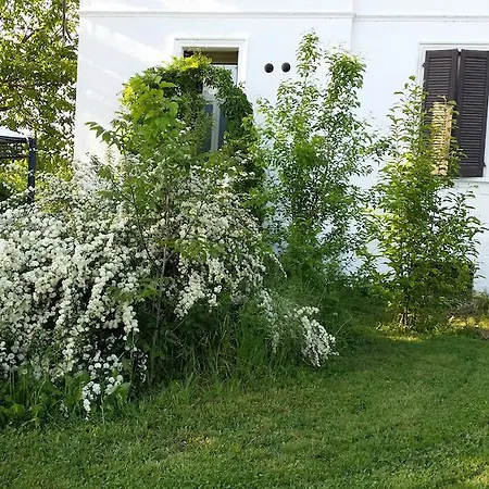 White Lady 3* Монтичелли-д’Онджина